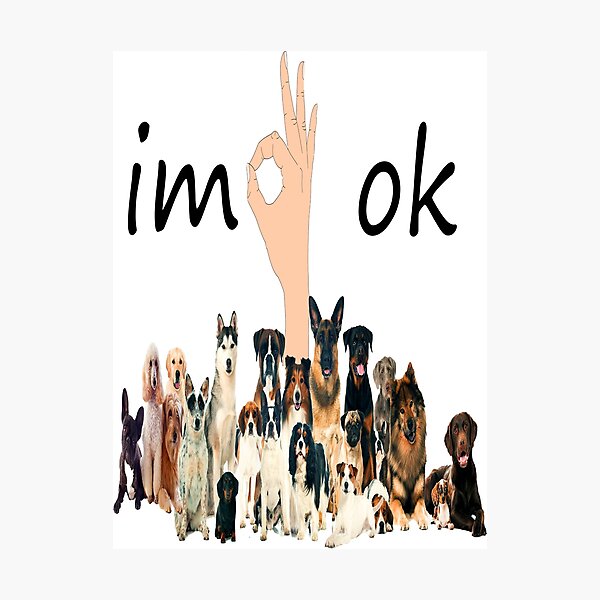 Item preview, I'm Ok Funny Dogs Lover designed and sold by boyastore.