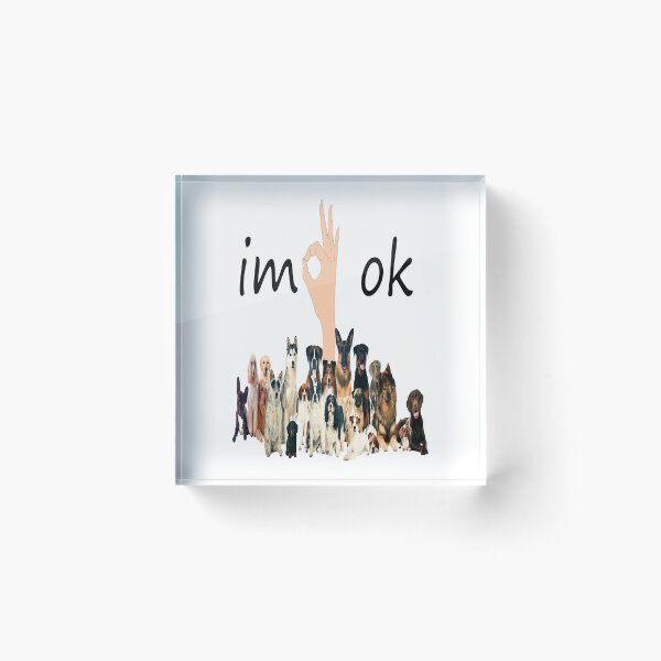 Item preview, I'm Ok Funny Dogs Lover designed and sold by boyastore.