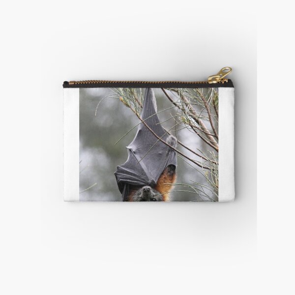 Item preview, Grey Headed Flying Fox (Pteropus policephalus) designed and sold by Mannaandkarri.