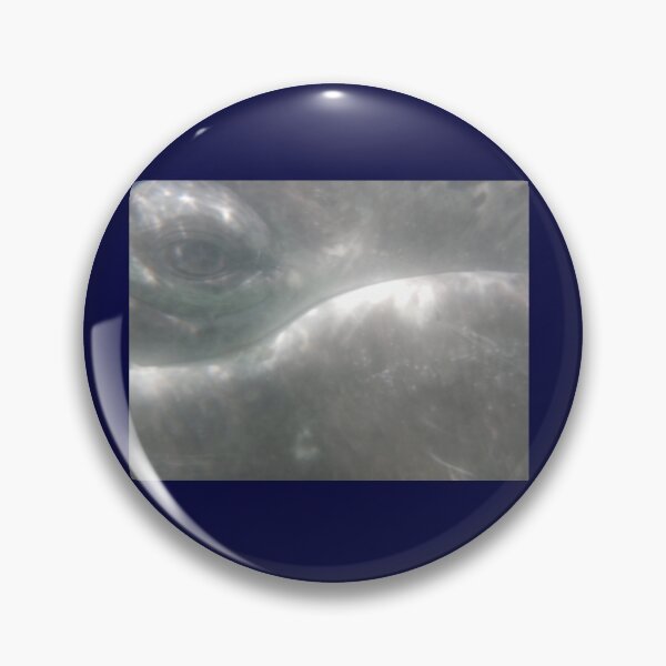 Item preview, Gray Whale Calf Eye 2 designed and sold by Whale & Dolphin Wisdom Retreats.