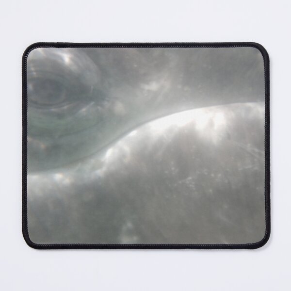 Item preview, Gray Whale Calf Eye 2 designed and sold by Whale & Dolphin Wisdom Retreats.