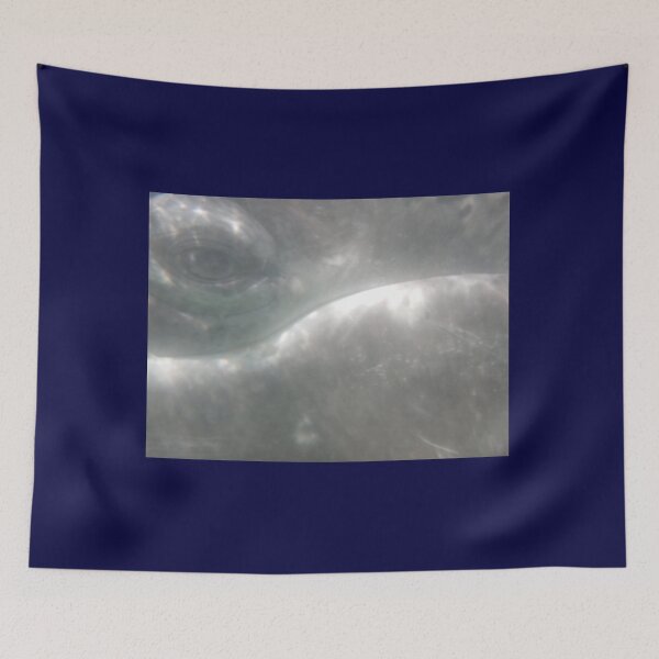Item preview, Gray Whale Calf Eye 2 designed and sold by Whale & Dolphin Wisdom Retreats.