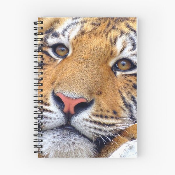 Item preview, Tiger mouth, tiger nose, tiger face designed and sold by Oksanka21.