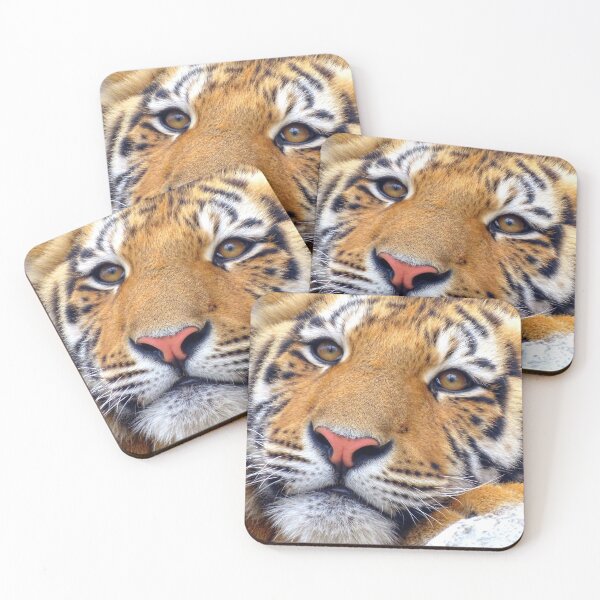 Item preview, Tiger mouth, tiger nose, tiger face designed and sold by Oksanka21.