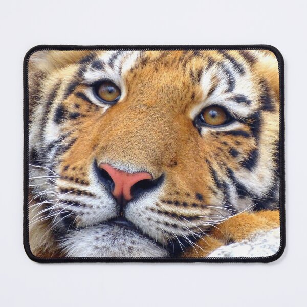 Item preview, Tiger mouth, tiger nose, tiger face designed and sold by Oksanka21.