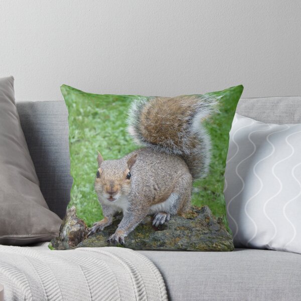 Item preview, Furious Squirrel designed and sold by Sandra Willis.