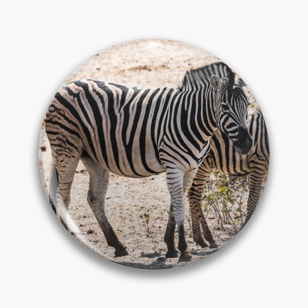 Item preview, Plain zebra family, Namibia designed and sold by Lyl Dil Creations.