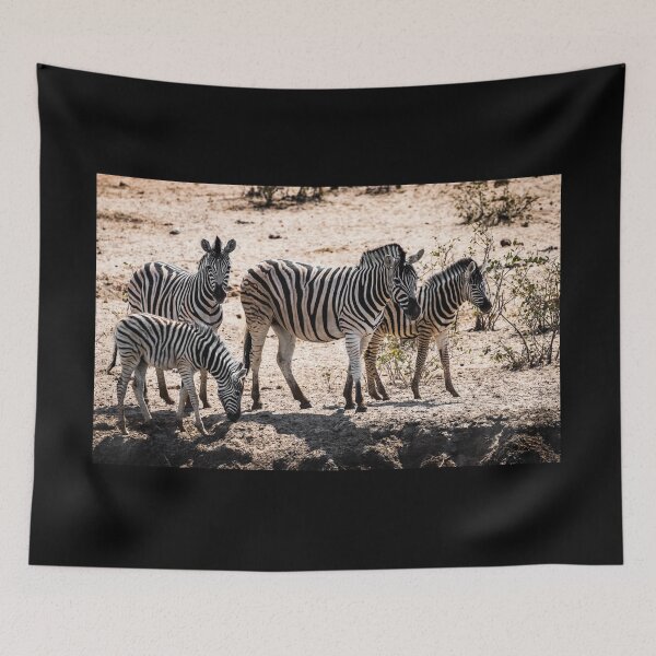 Item preview, Plain zebra family, Namibia designed and sold by Lyl Dil Creations.