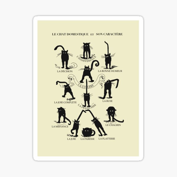 “le chat domestique (et son caractère)” Sticker for Sale by justaddnina