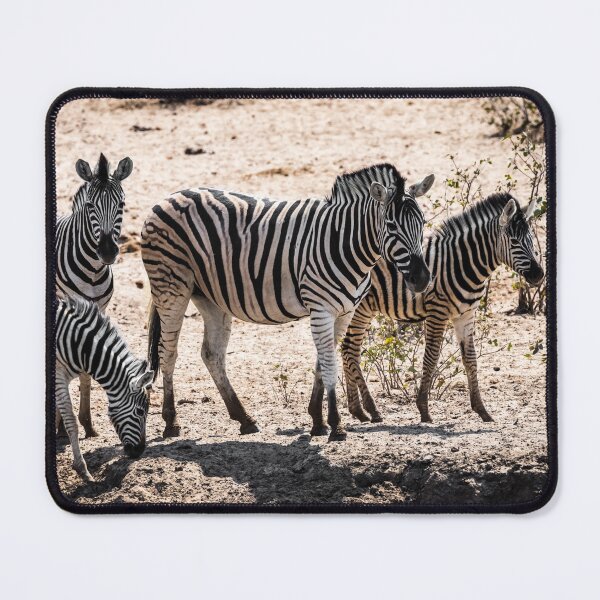 Item preview, Plain zebra family, Namibia designed and sold by Lyl Dil Creations.