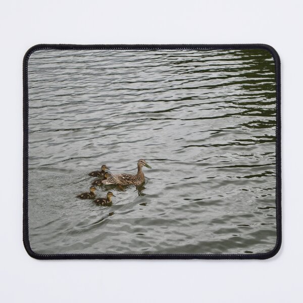 Item preview, Family Of Ducks designed and sold by thelemmingface.