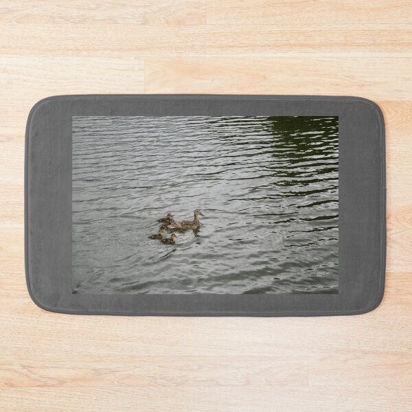 Item preview, Family Of Ducks designed and sold by thelemmingface.