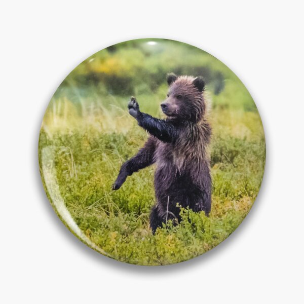 Item preview, STOP - brown bear cub in Denali NP designed and sold by Lyl Dil Creations.