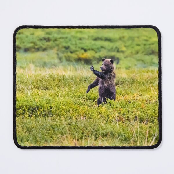 Item preview, STOP - brown bear cub in Denali NP designed and sold by Lyl Dil Creations.