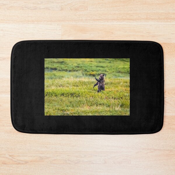 Item preview, STOP - brown bear cub in Denali NP designed and sold by Lyl Dil Creations.