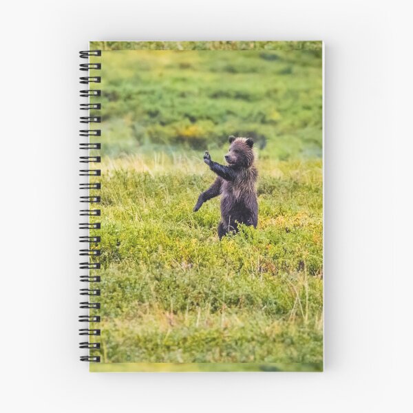 Item preview, STOP - brown bear cub in Denali NP designed and sold by Lyl Dil Creations.