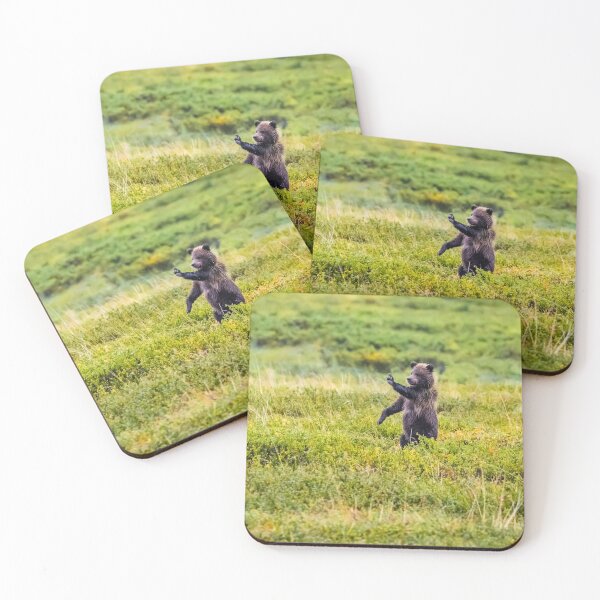 Item preview, STOP - brown bear cub in Denali NP designed and sold by Lyl Dil Creations.
