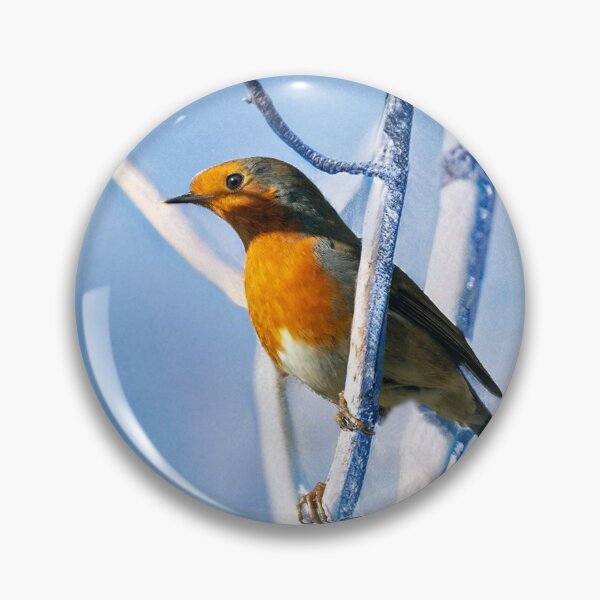 Item preview, Robin in the snow designed and sold by Daniel Baker Photography.