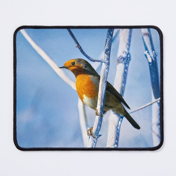 Item preview, Robin in the snow designed and sold by Daniel Baker Photography.