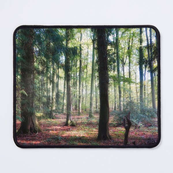 Mystischer Wald Mauspad