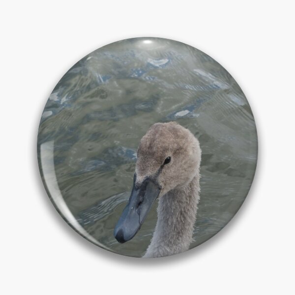 Item preview, Young Swan Cygnet designed and sold by thelemmingface.