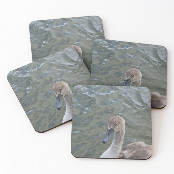 Item preview, Young Swan Cygnet designed and sold by thelemmingface.