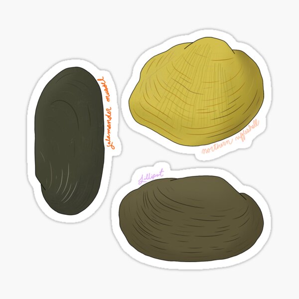 Item preview, Freshwater Mussel Pack 4.0 designed and sold by Julia Willsie.