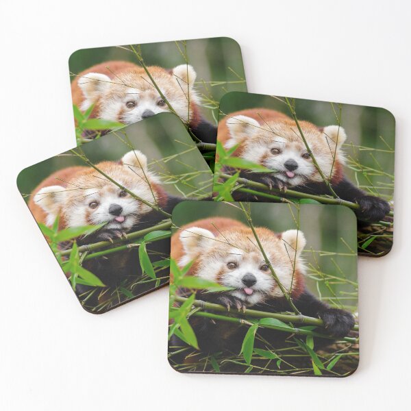 Item preview, Red Pandas face designed and sold by Oksanka21.