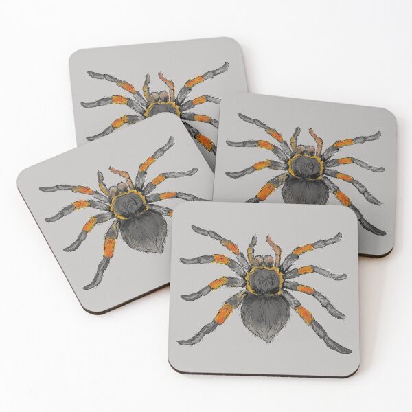 Item preview, Red Knee Tarantula designed and sold by Salt & Keep.
