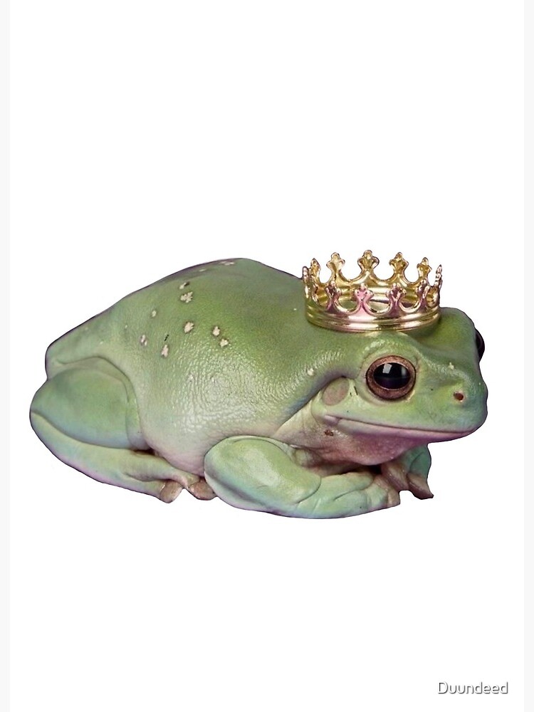Frog With Crown, Cute Sitting Realistic Frog with Crow, Prince Frog | Art  Board Print