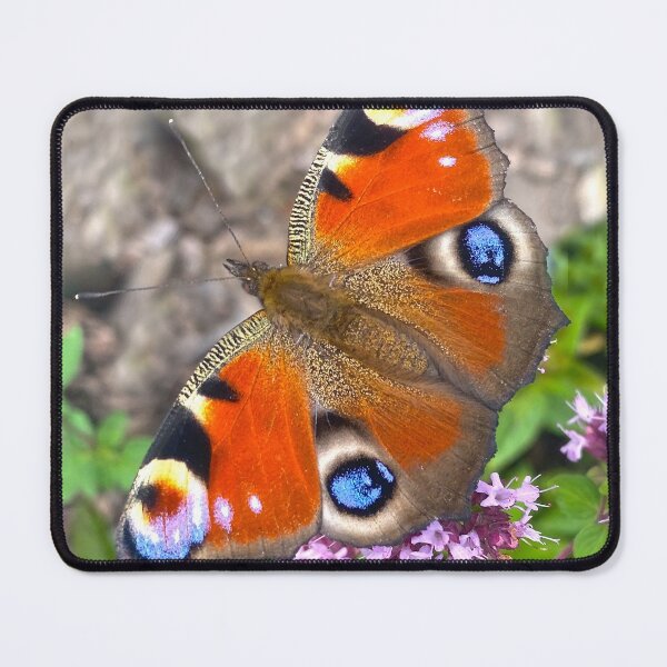 Item preview, Tagfalter Butterfly on Rügen Island, DE designed and sold by Michael Brewer.