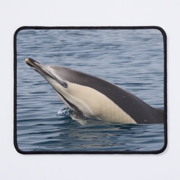 Dolphin Mouse Pad