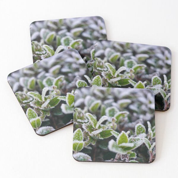Item preview, Frost on green leaves during the winter season. designed and sold by Shafiq Khan.