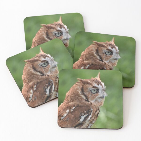 Item preview, Eastern Screech Owl (Red Morph) Photo  designed and sold by LauraWolfArtist.