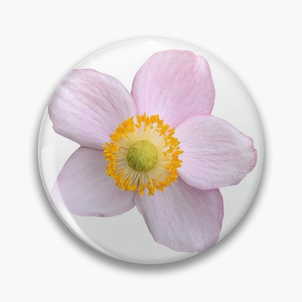 Item preview, Pink Anemone Flower Still Life Floral Photography designed and sold by CottoVerdi.