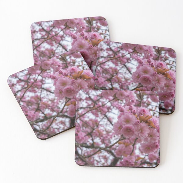 Item preview, Japanese Cherry (Prunus serrulata), Queen's University Belfast designed and sold by Dbanksdesign.
