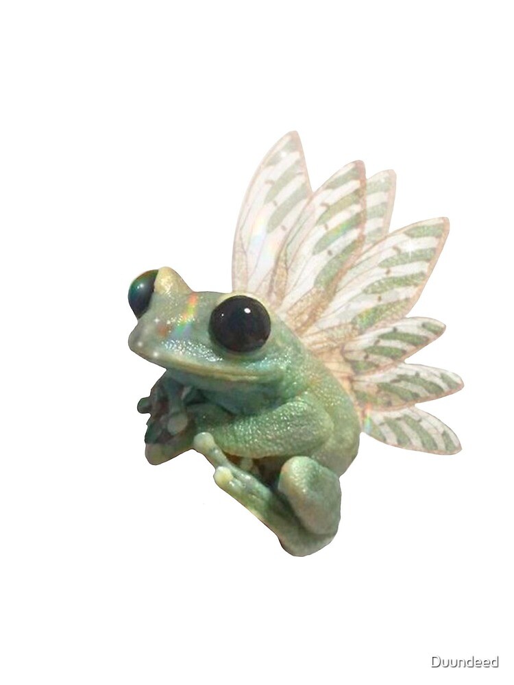 Cute Frog Fairy, Fairy Frog with Fairy Wings, Realistic Fairy Frog, Cute  Frog Sticker | Photographic Print