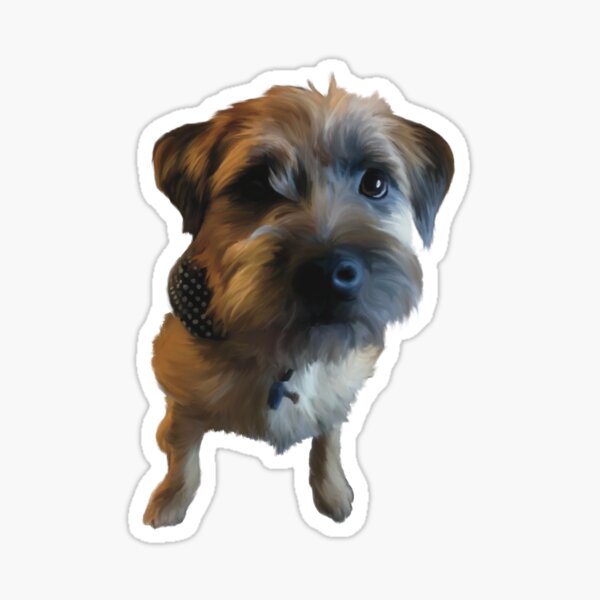 Gorgeous Hamish, the Border Terrier Sticker