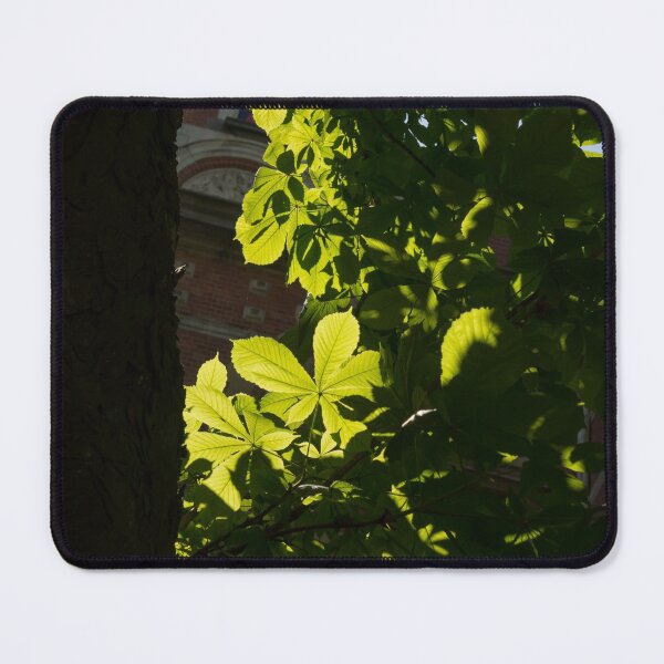 Item preview, Spotlight on Spring Green designed and sold by Georgia Mizuleva.