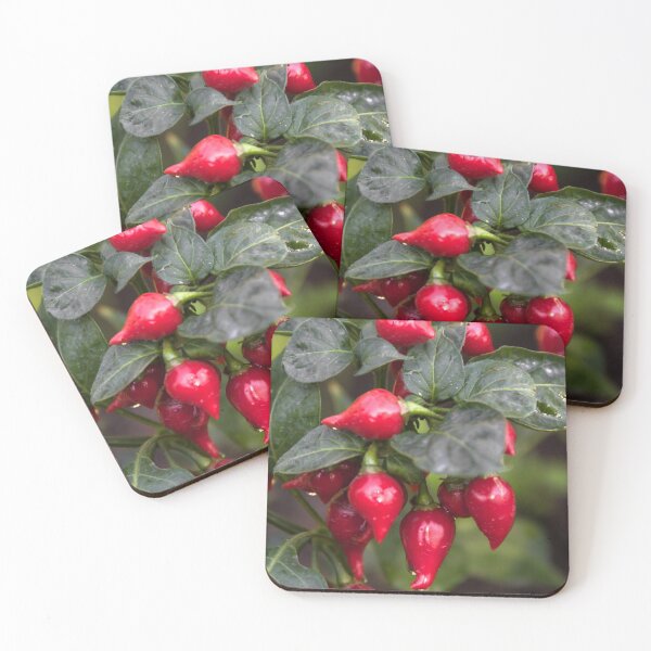 Item preview, beak pepper. designed and sold by Nino rocha fotografia.