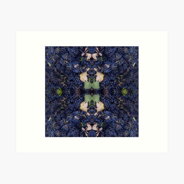 Item preview, Merlot Grapes by Adelaide Artist Avril Thomas at Magpie Springs  designed and sold by MagpieSprings.