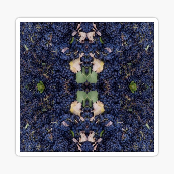 Merlot Grapes by Adelaide Artist Avril Thomas at Magpie Springs Sticker