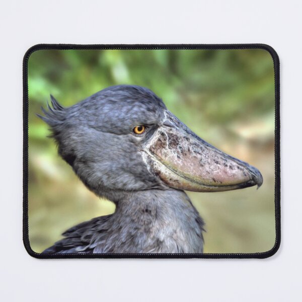 Item preview, Shoebill designed and sold by Savannah Gibbs.