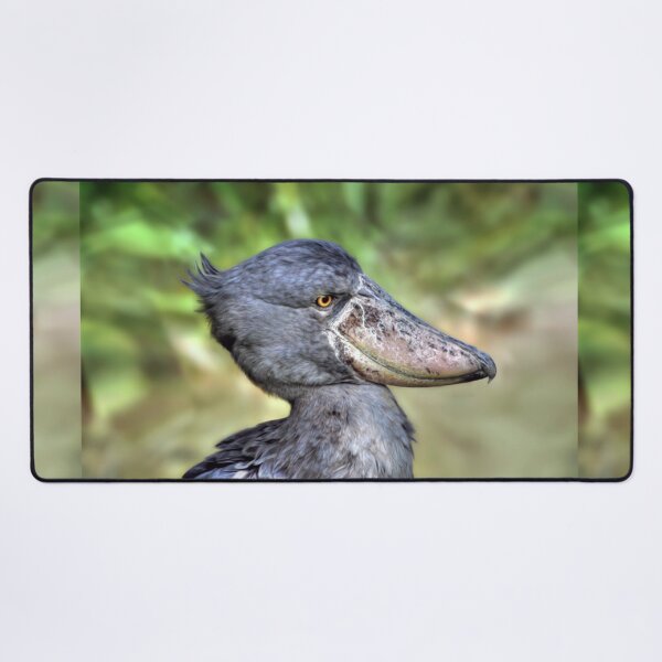 Item preview, Shoebill designed and sold by Savannah Gibbs.