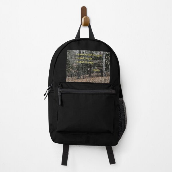 31 x 42 x 21 cm My name is blurryface  kit bag backpack ruck sack Dimensions 