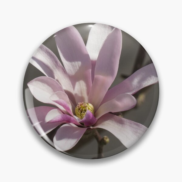 Item preview, Sunny Pink Magnolia Blossom designed and sold by Georgia Mizuleva.