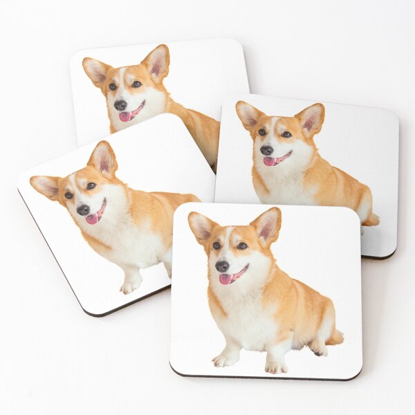AD-C2C 4x Cardigan Corgi Dog Picture Table Coasters Set in Gift Box 