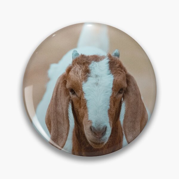 Item preview, Boer doe designed and sold by jacindasgarner.
