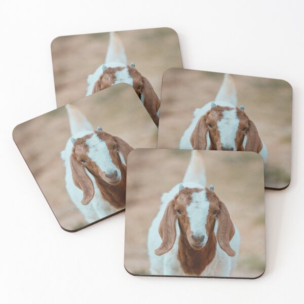 Item preview, Boer doe designed and sold by jacindasgarner.