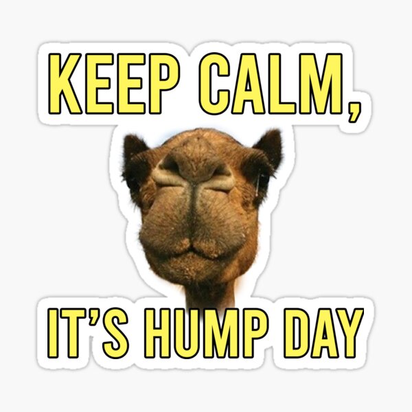 KEEP CALM ITS HUMP DAY" Sticker for Sale by MEMER-D | Redbubble